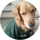 Sree Nidhi Y profile picture